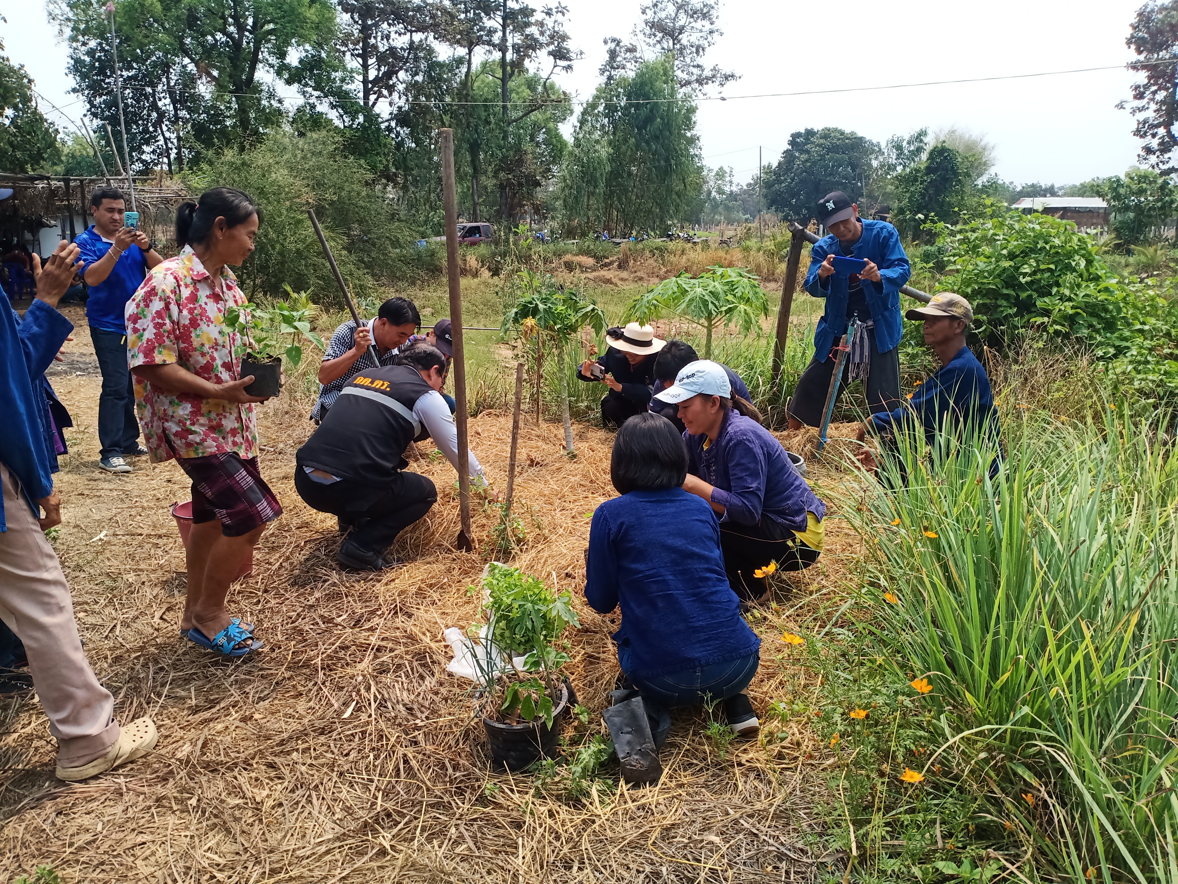 พช.ลืออำนาจ ร่วมเป็นเกียรติในงานรณรงค์ไถกลบตอซังข้าวและหว่านปุ๋ยพืชสด
